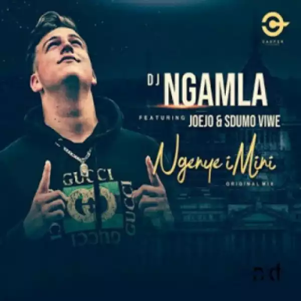 DJ Ngamla - Ngenye Imini Ft. Sdumo Viwe & Joejo